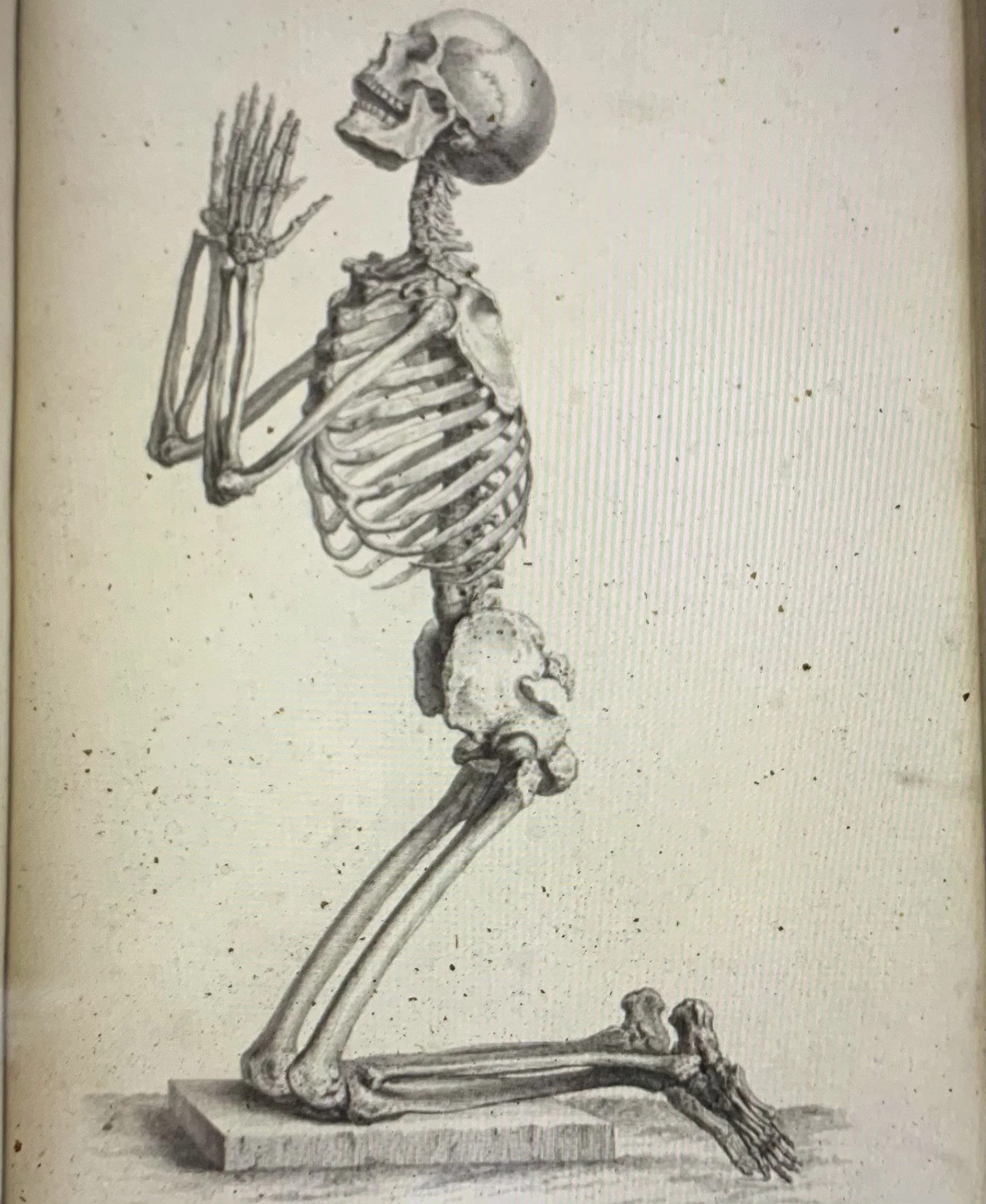 Forrest Yoga Community Class