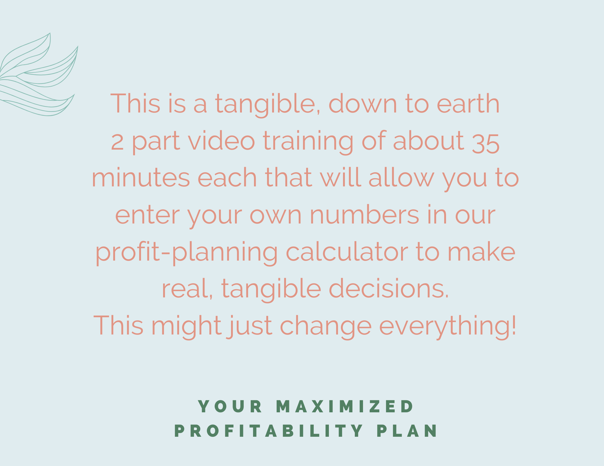 Shop Listing - Maximized Money 6.png
