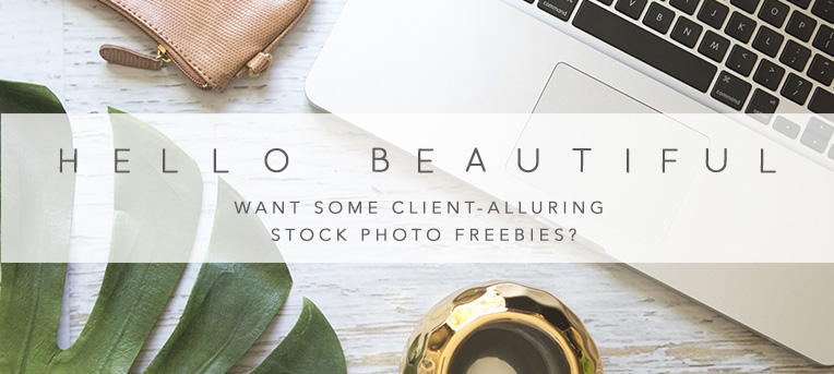 Fresh_Feathers_HelloBeautiful_Rectangle_Stock_Photo_Freebies_Header.jpg