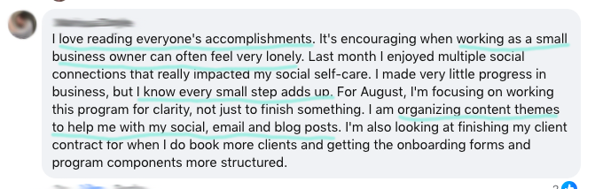 Bay comment screenshot - organizing content themes.png