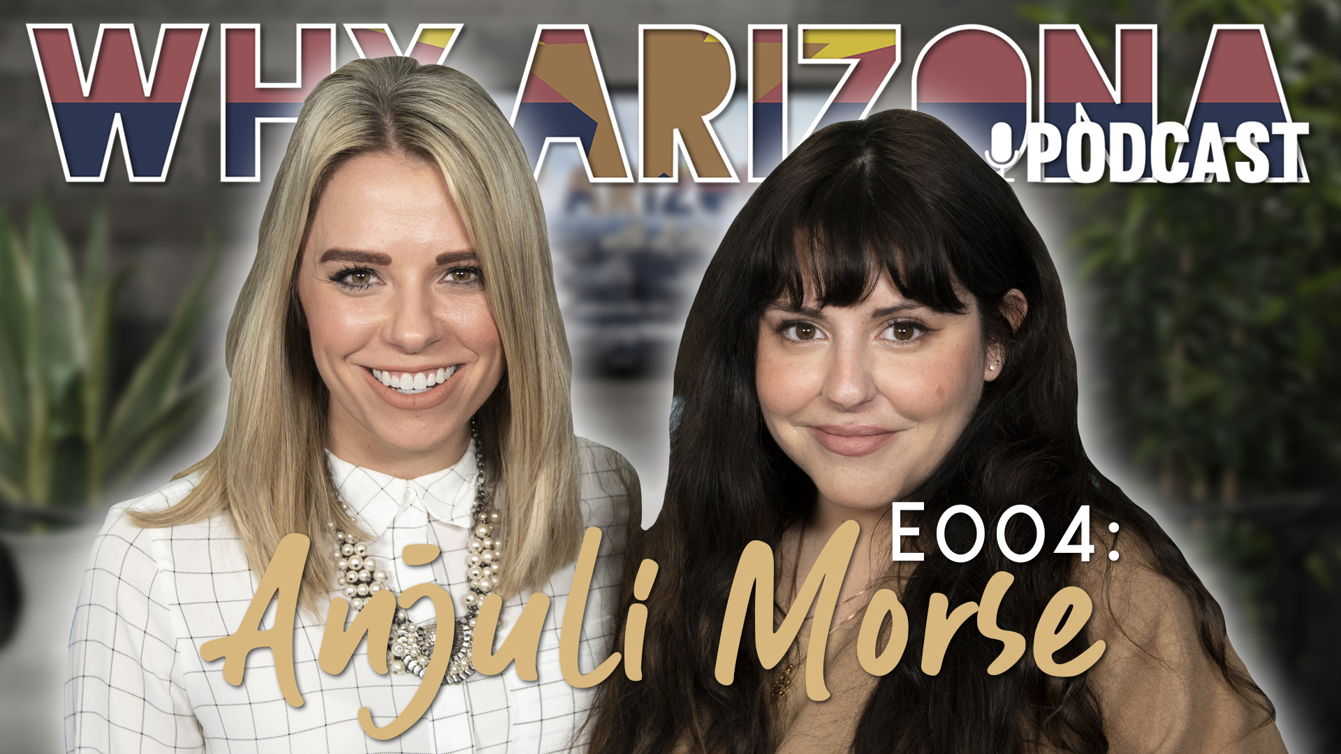 Why AZ Pod Thumbnail.jpg