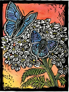 Hand painted woodblock print blue azure butterfly by Montana artist Claire Emery