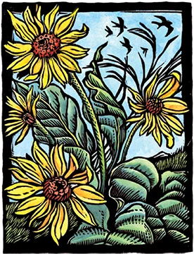 Hand painted woodblock print arrowleaf balsamroot wildflower by Montana artist Claire Emery