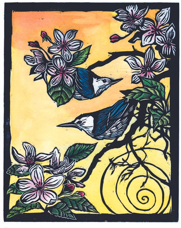 Hand painted woodblock print nuthatches and apple blossoms by Montana artist Claire Emery