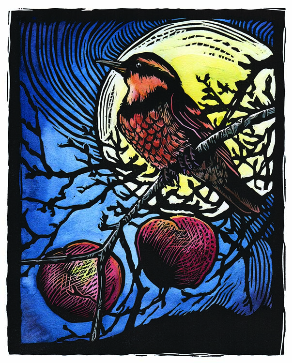 Hand painted woodblock print varied thrush by Montana artist Claire Emery