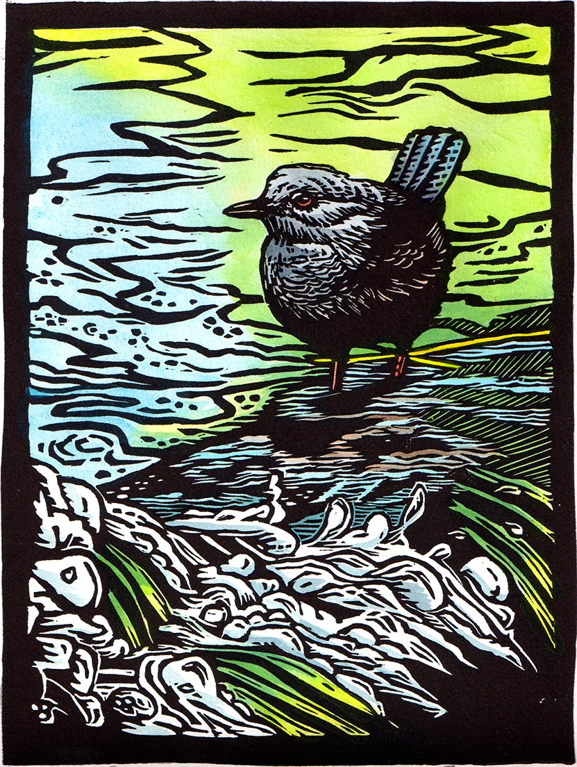 Dipper.emeryart.2011.110dpi.jpg