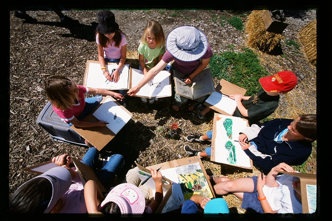 Working with young people at the PEAS Farm sketching micro and macro landscape features, everything from the crop rows to the curl in a pig's tail.