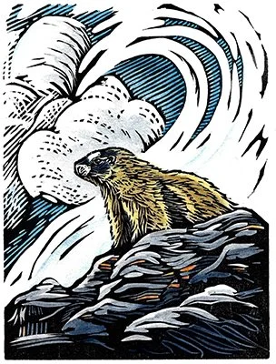 2.marmot.emeryart.2022.100dpi.jpg
