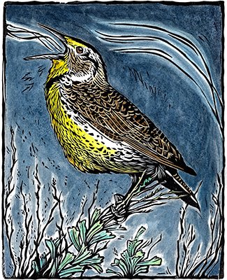 4.meadowlark.emeryart.100dpi.2022.jpg