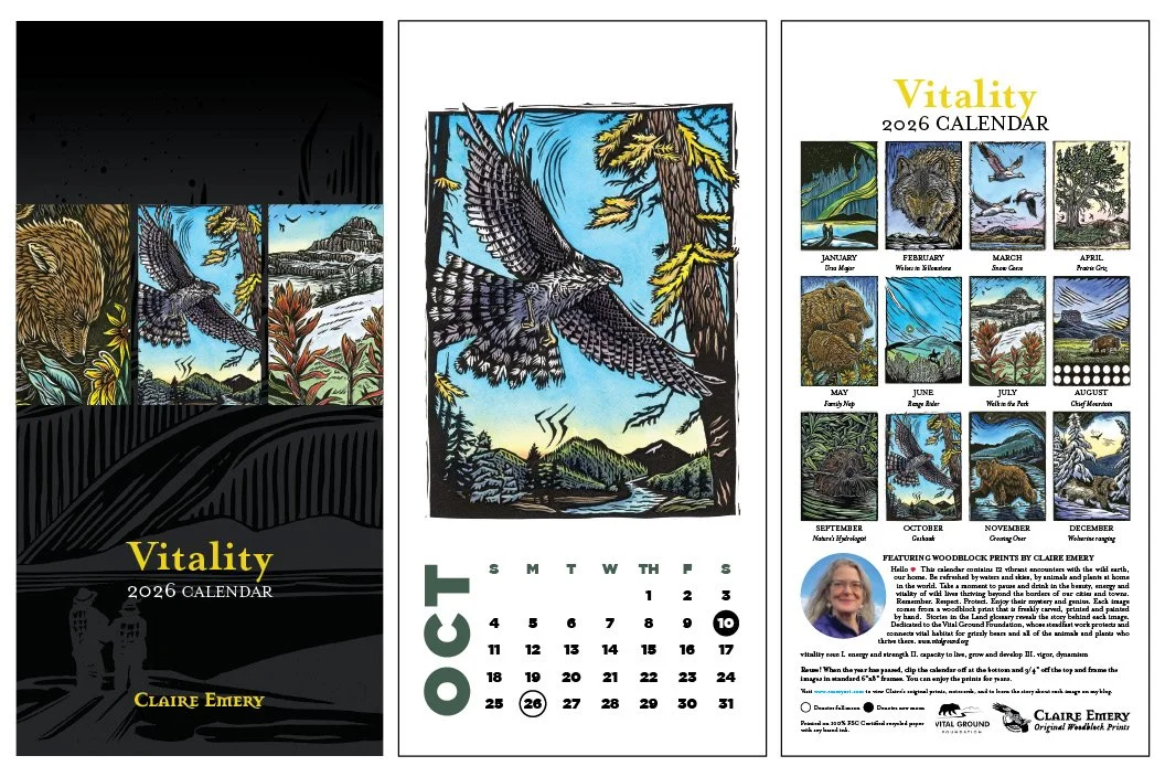 Calendar Previews 2026 3sets4.jpg