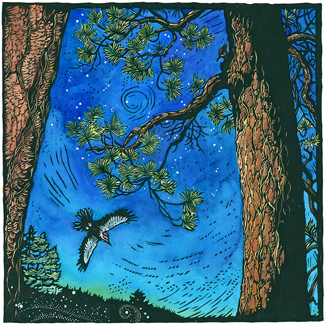 January_PonderosaPine.emeryart.80dpi.png