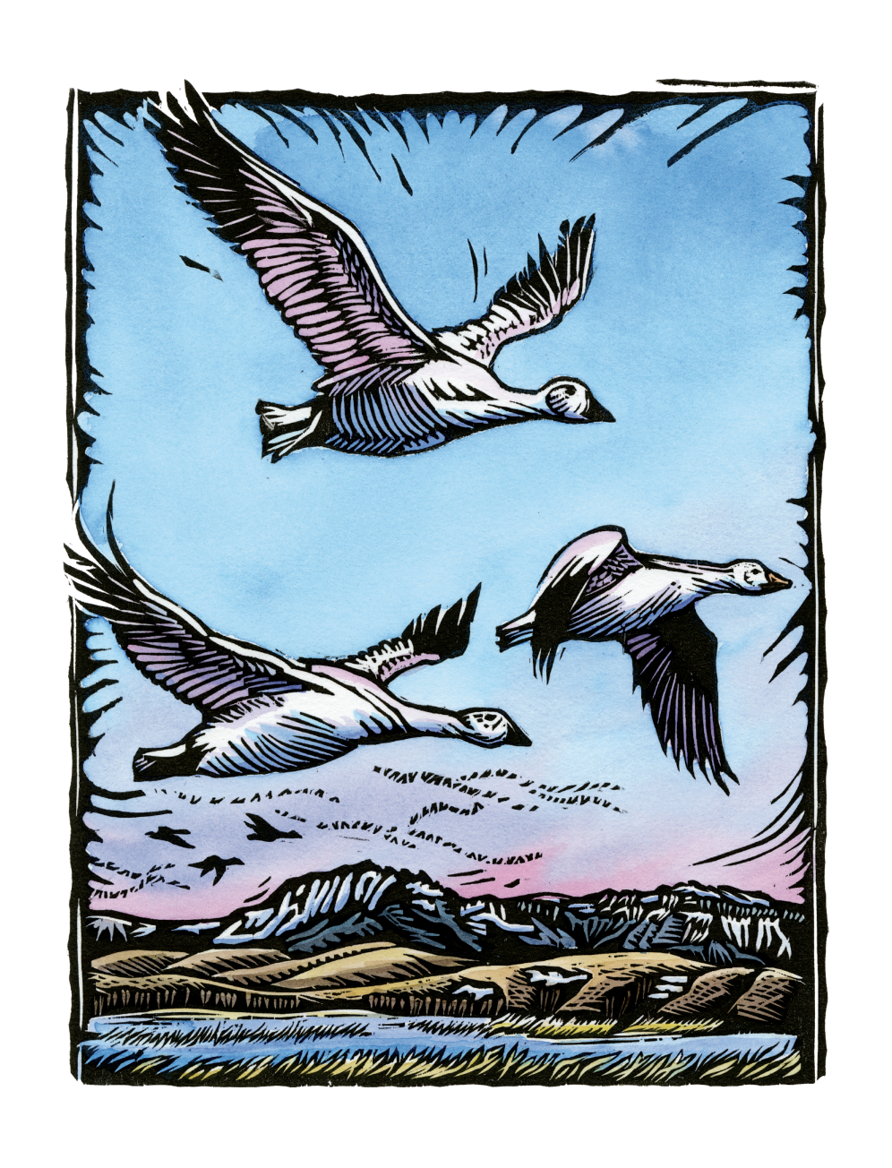 Screen Shot 2025-10-08 at 5.37.53 PM.png