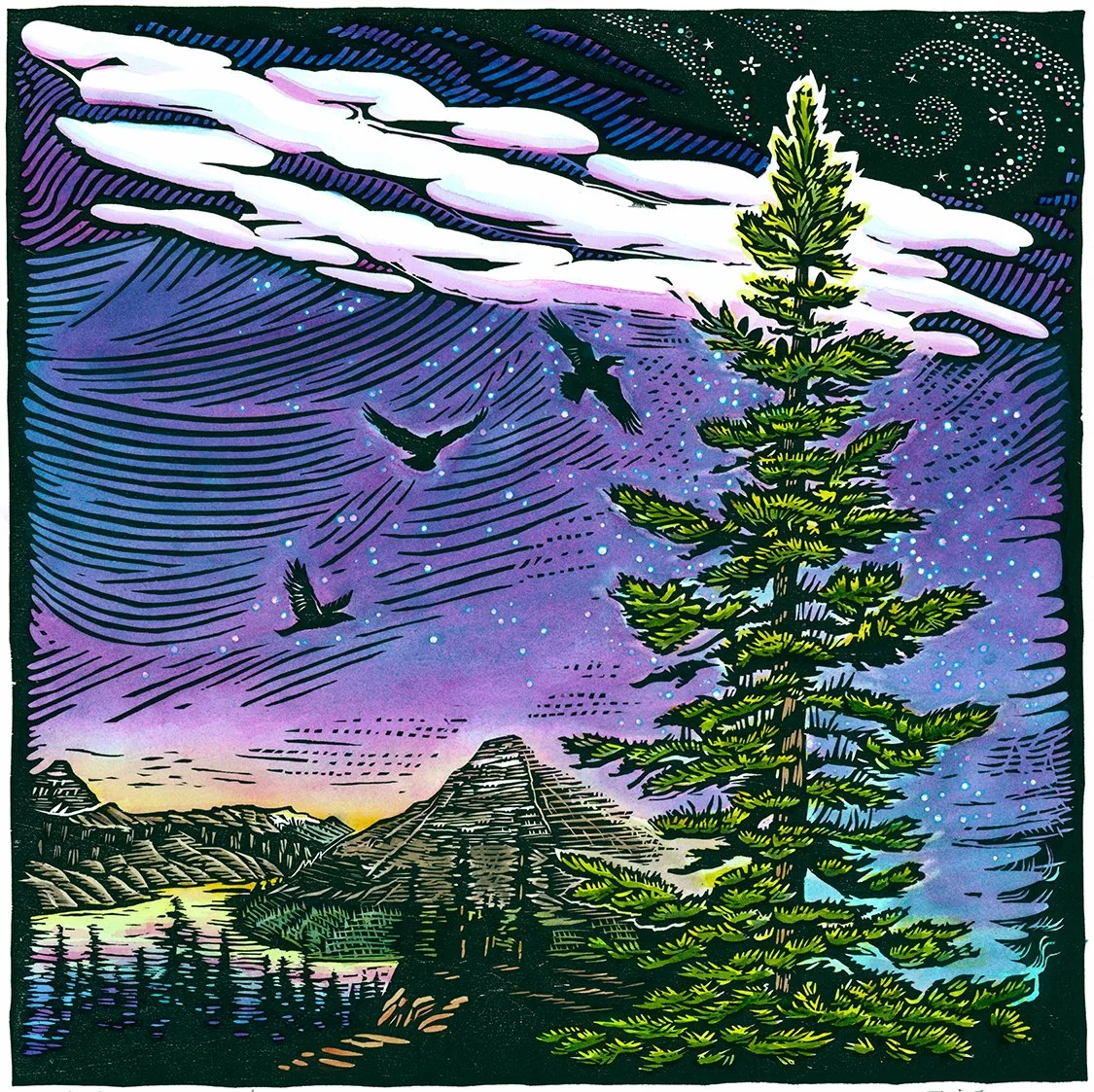 December_SubalpineFir.emeryart.80dpi.jpg