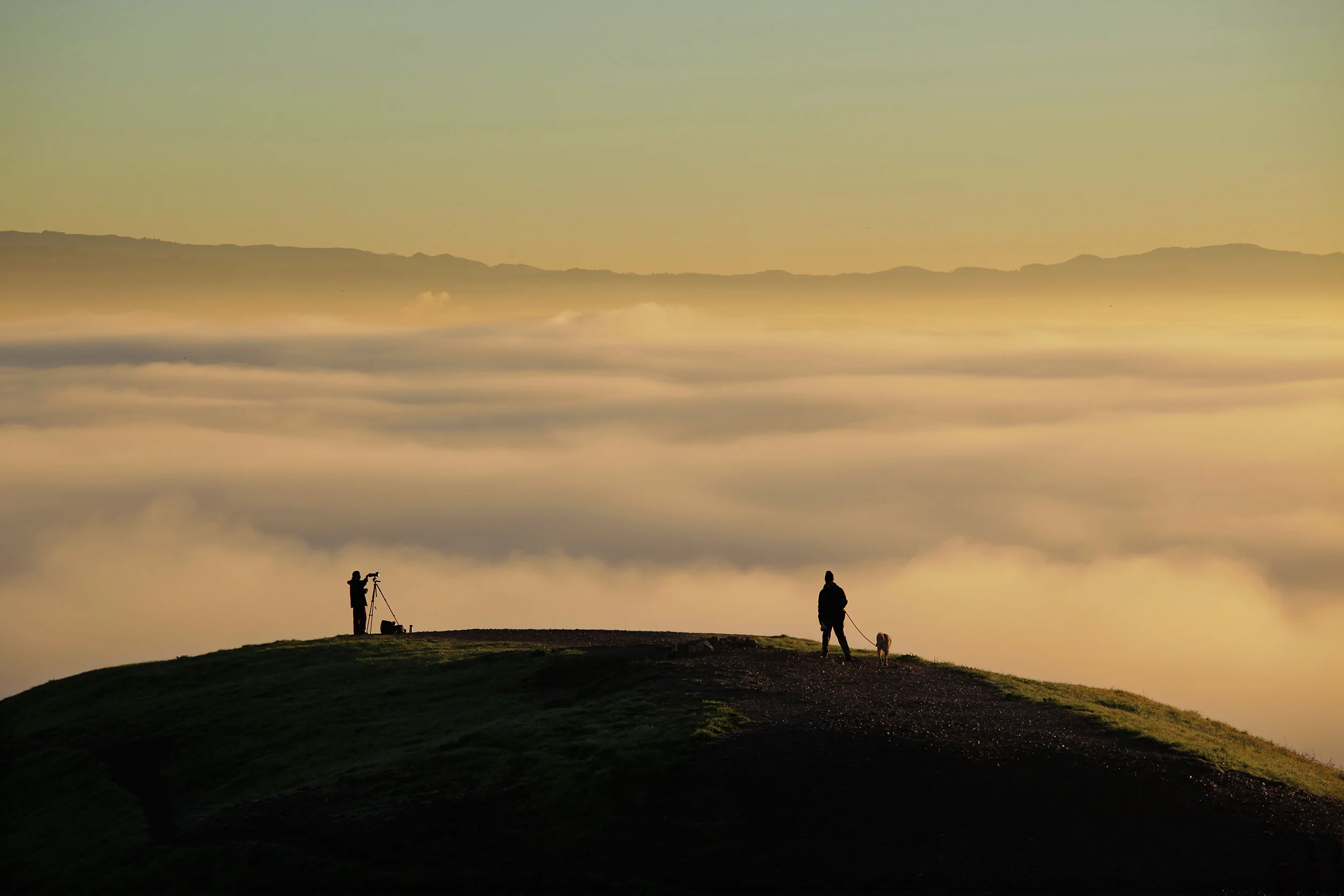 Fotogrf und Hundebesitzer_Huegel_SanFrancisco_Morgen_Nebel_MG_0937_bb_b2500px.jpg