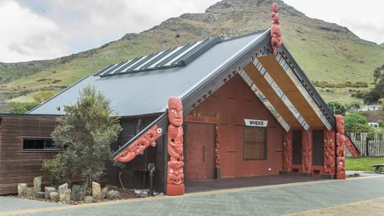 August Whānau Newsletter: Rapaki Marae Noho, Sexualities Workshop, and more. 