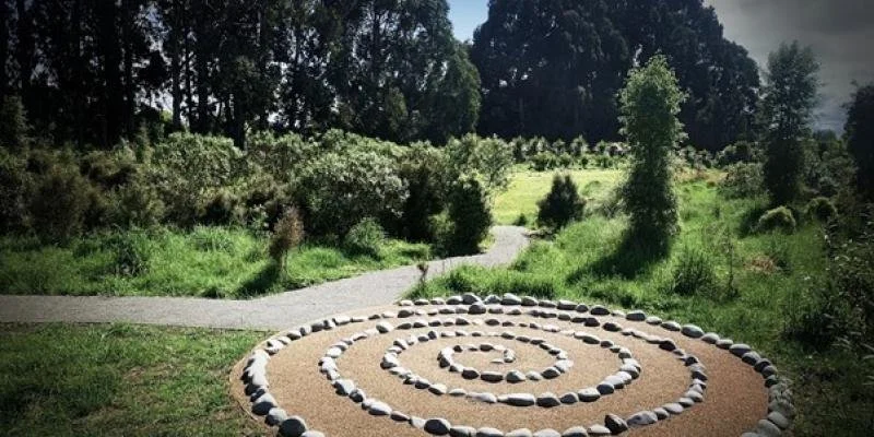 February Whānau Newsletter: Time on the whenua, craft hui and coming soon - te reo workshops