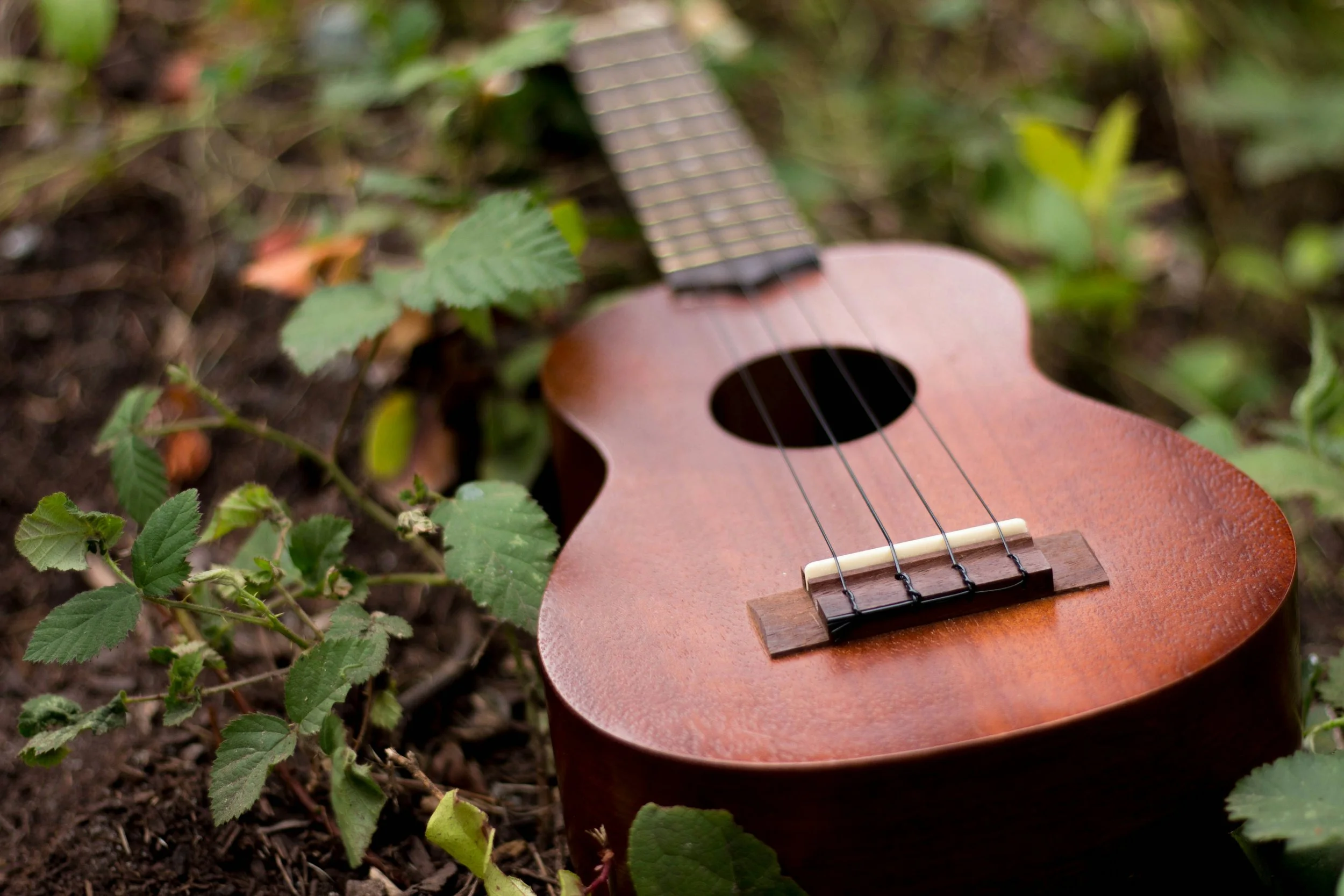 Our Next Event - Waiata, Frybread, and our Whakapapa Story