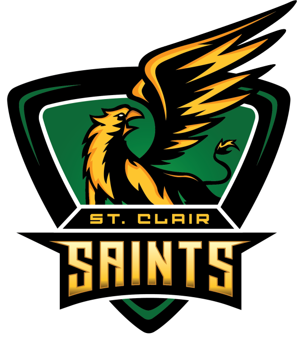 Interim Head Coach - Counter-Strike: Global Offensive