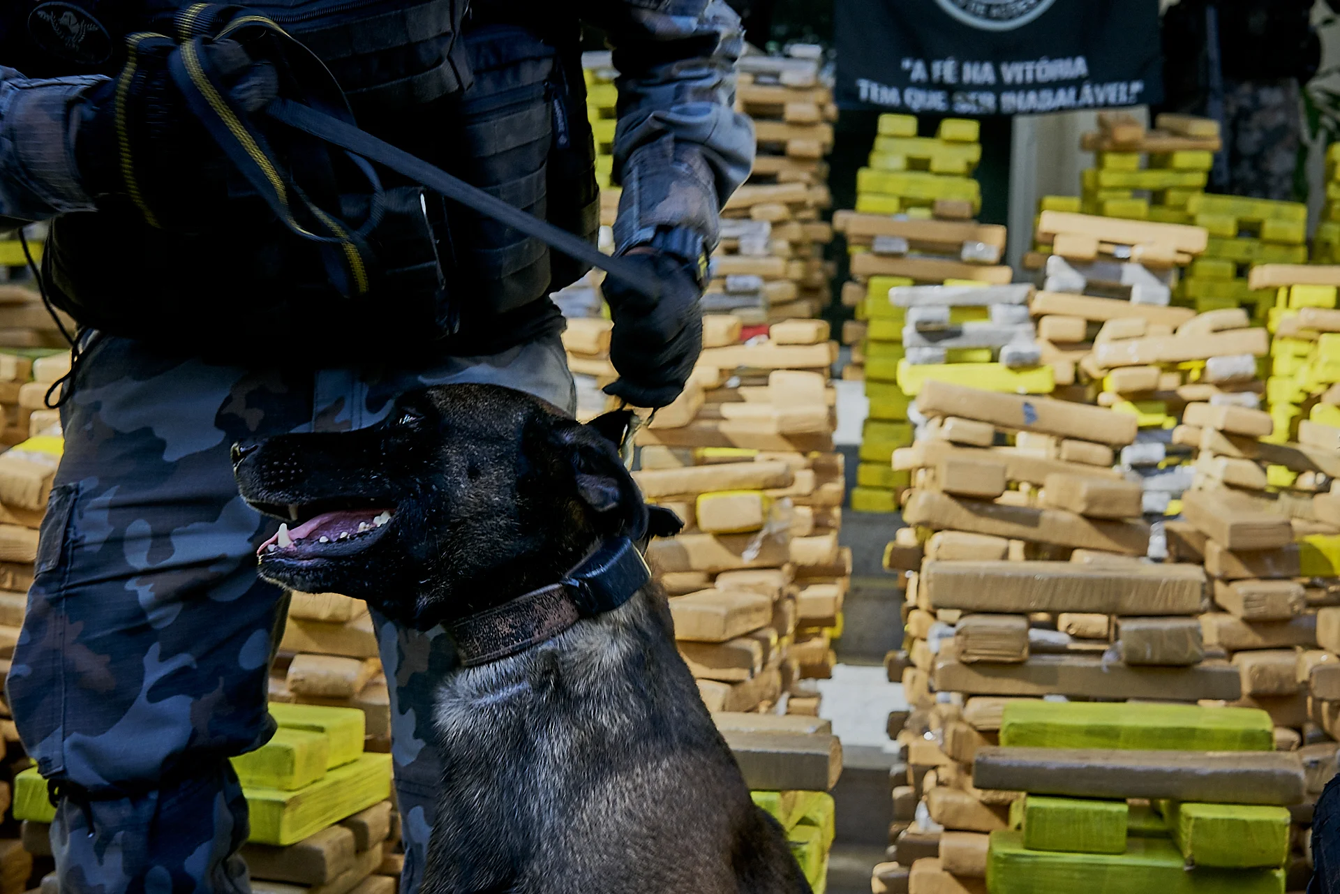 The majority of the drugs were found by Rio’s Dog Battalion (Photo: C.H. Gardiner)