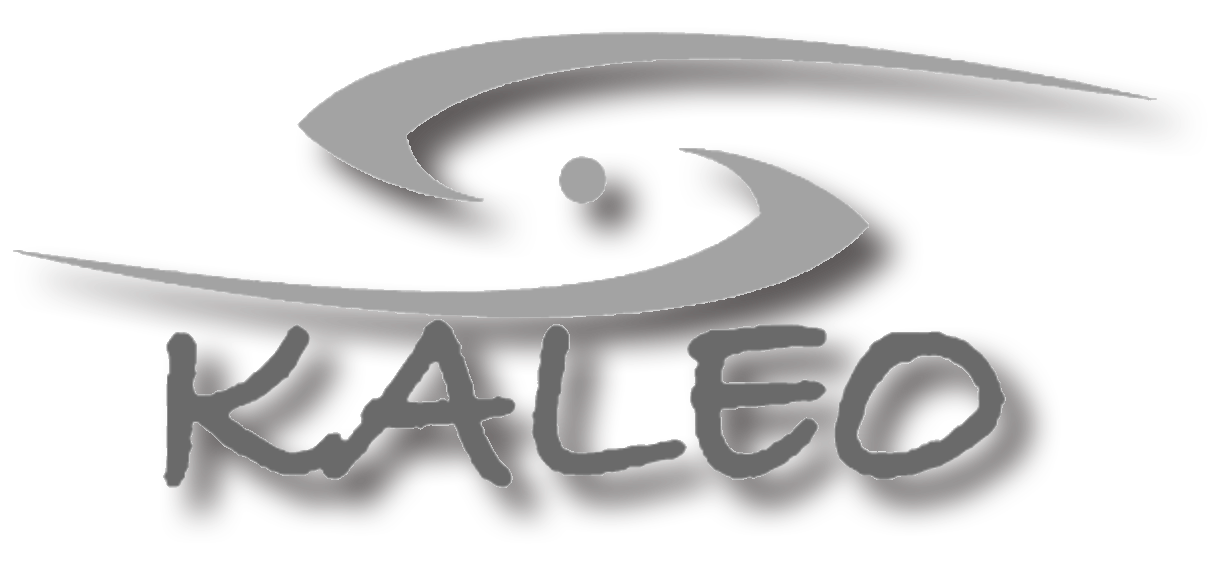 http://www.kaleomarketing.com/