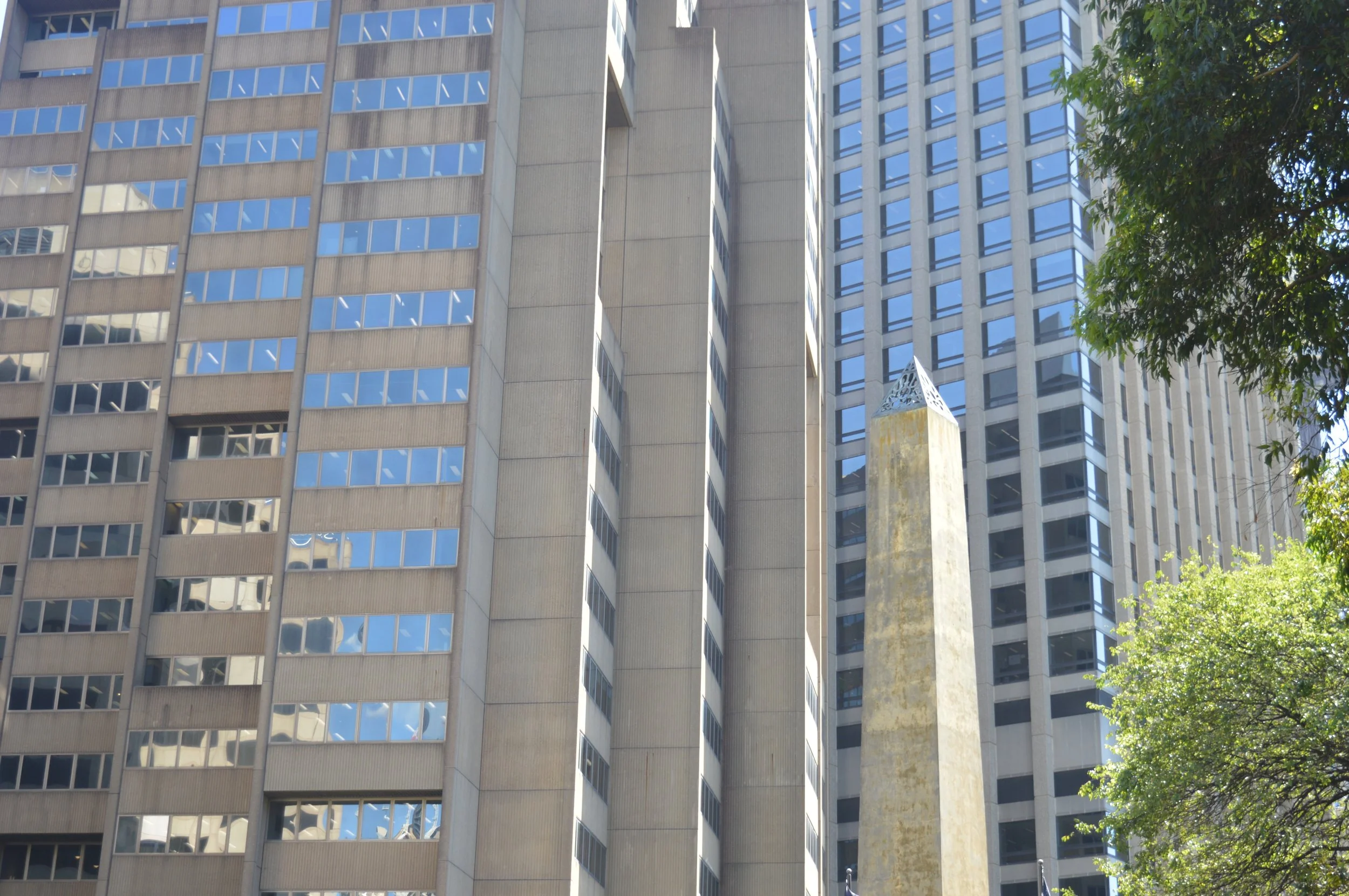 DSC_0022.jpg