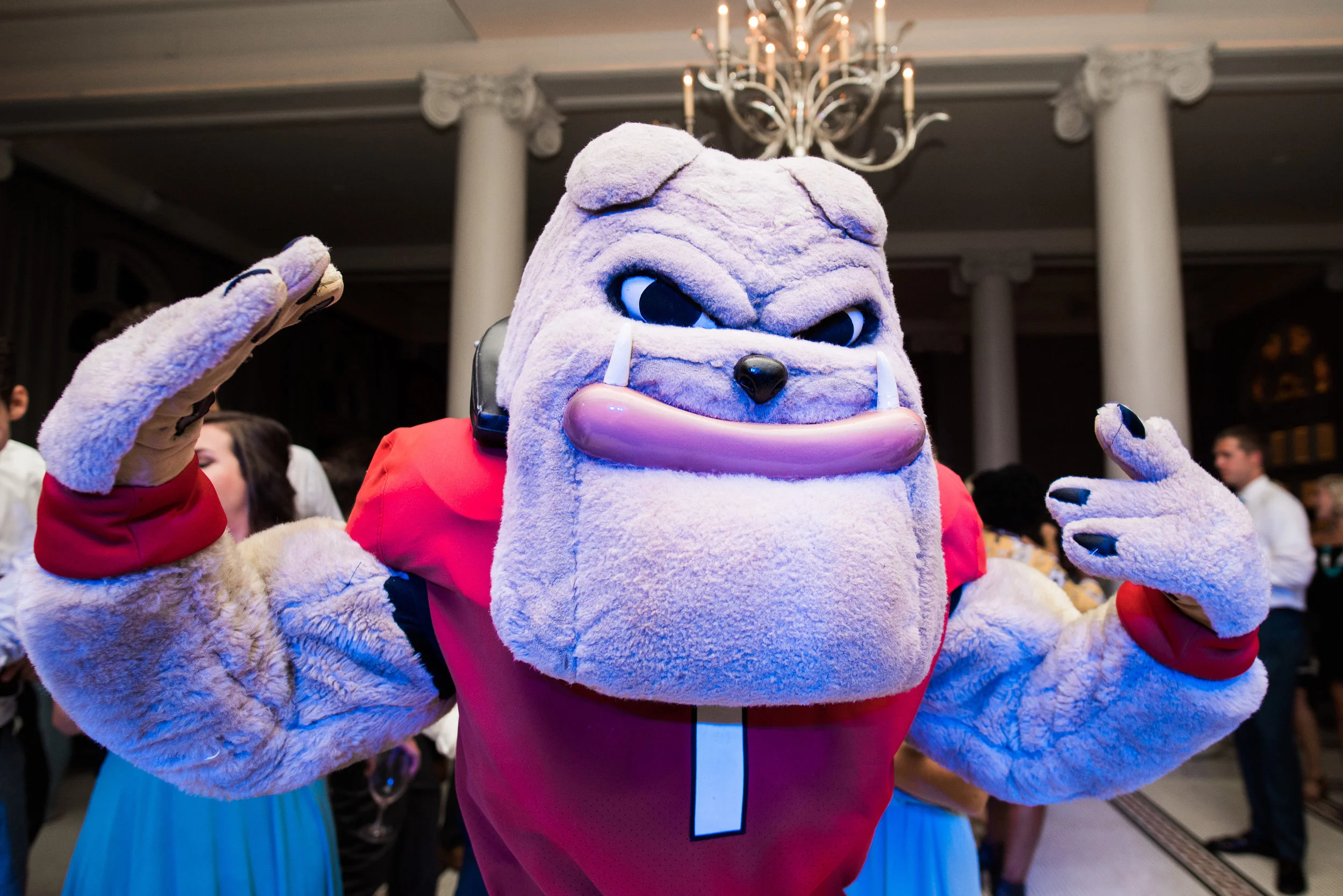 UGA Surprise wedding [Hairy Dawg on the dancefloor]