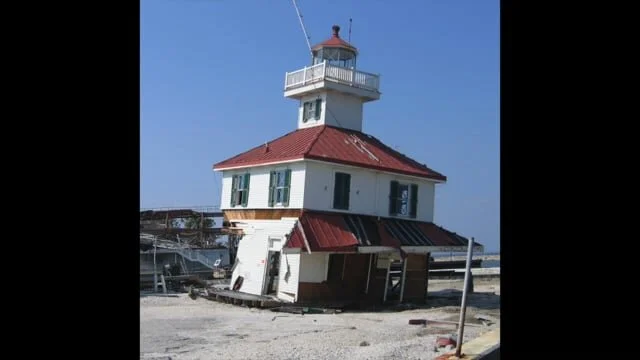 Swim, My Brother, Swim!