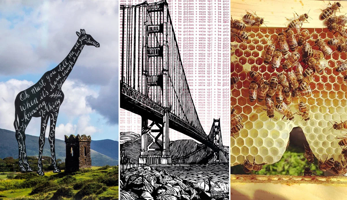 Artist Talk & local honey tasting Wednesday March 14, 6-8pm