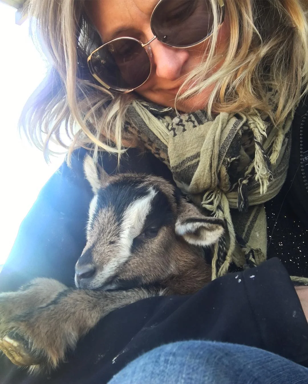 Meet Hilary's baby goats this Friday, Feb 22, 6-8pm