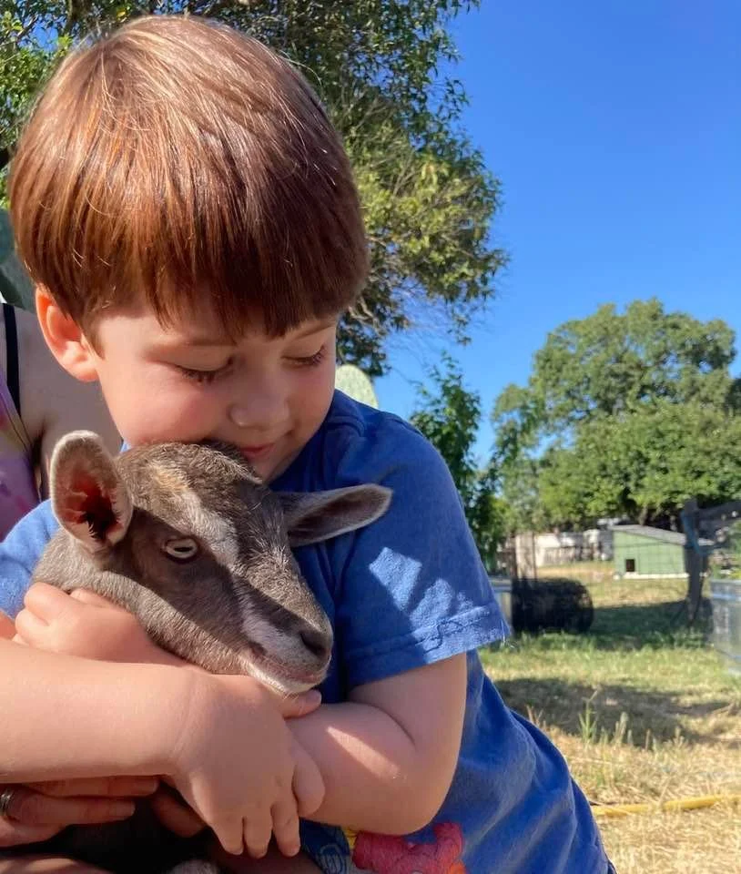 Happy Birthday, Luca! 🎂 Donate, buy art or hire this curating mama