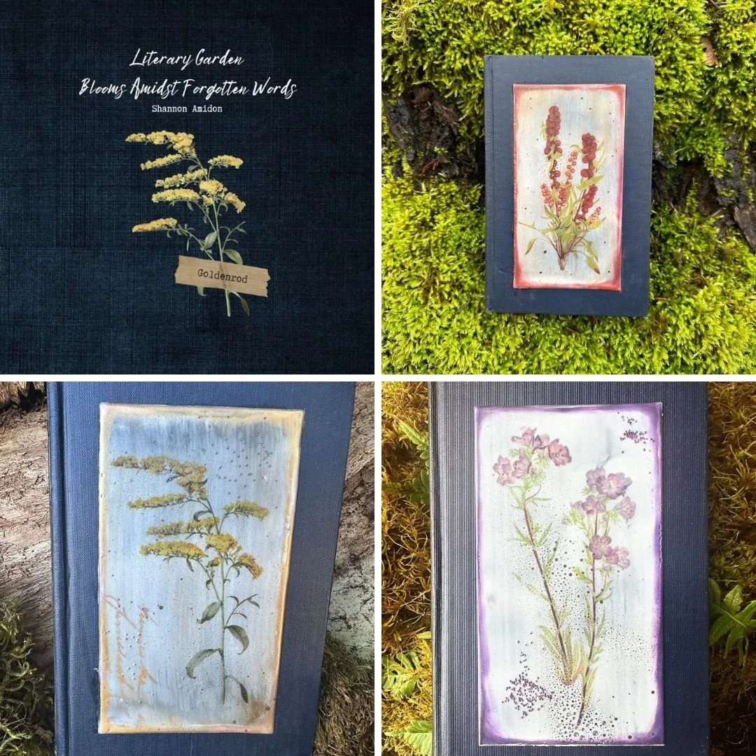 Shannon Amidon Art &amp; Book Release Pre-order