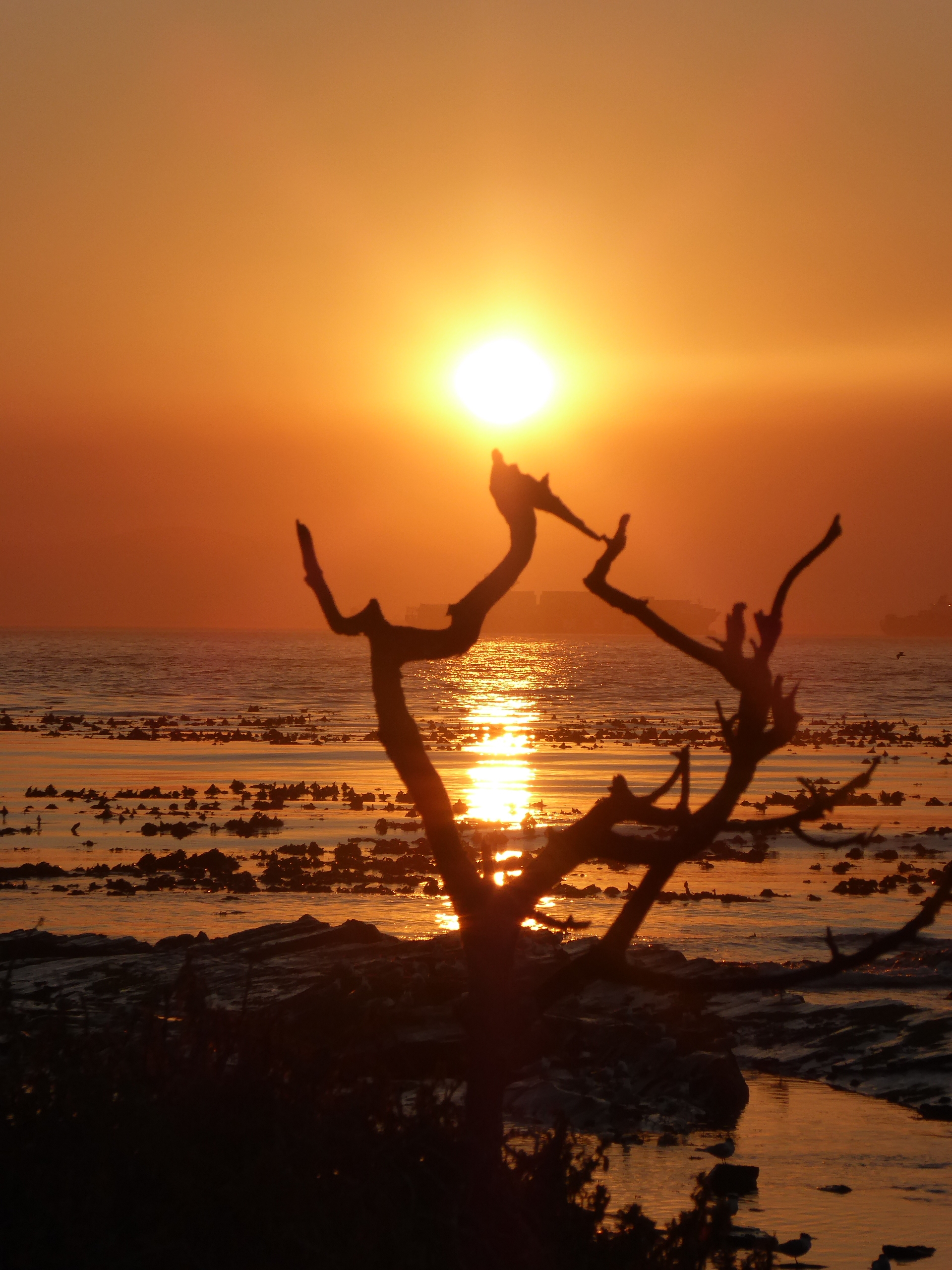  sunrise on Robben Island 