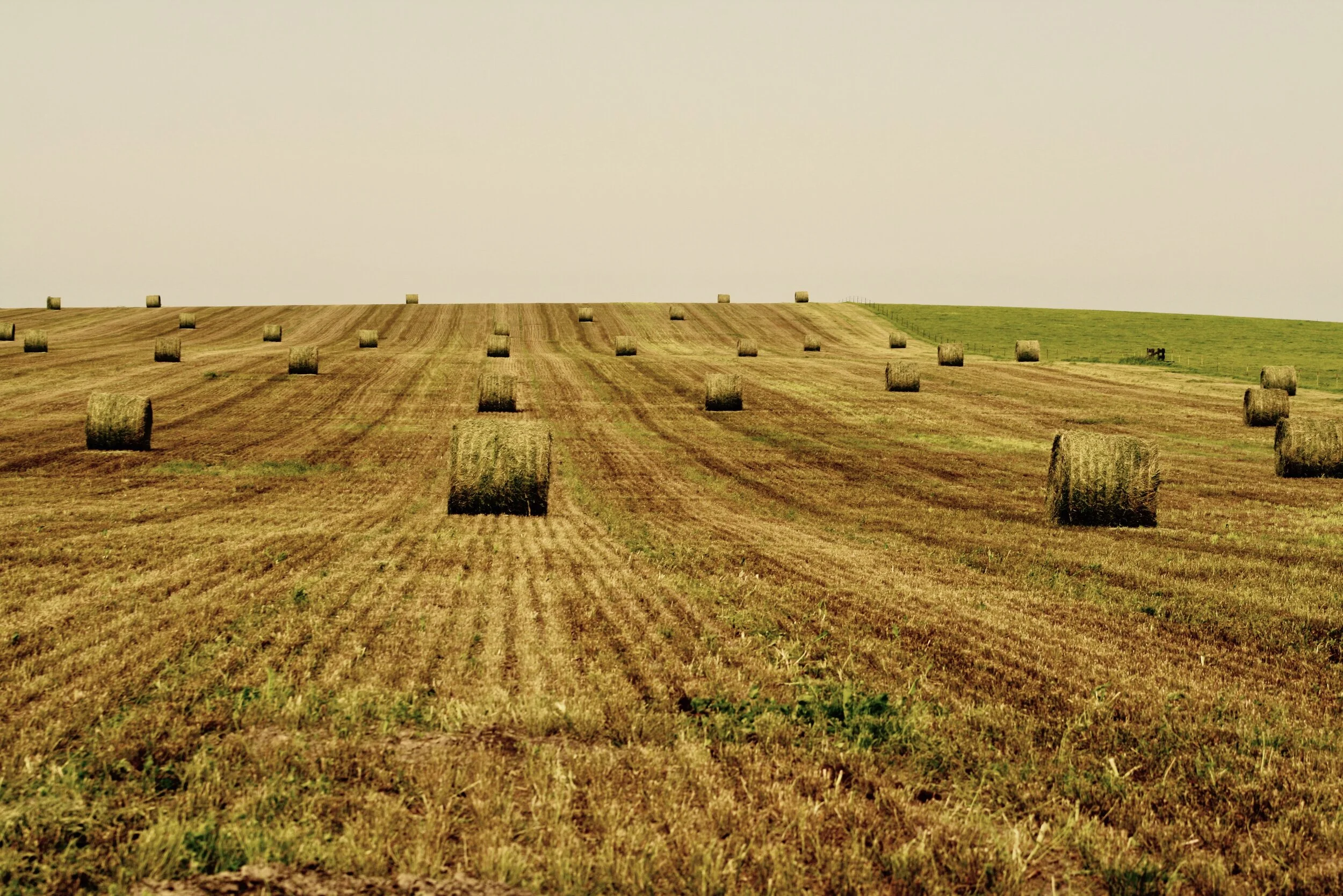 3/50: This land is your land