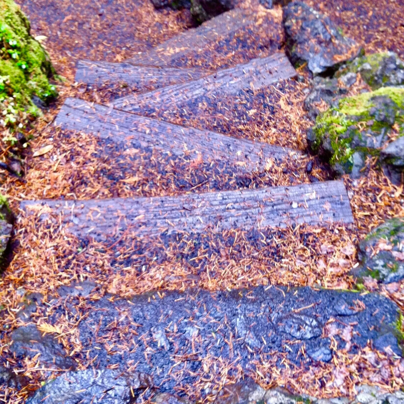 9/50: Seeking Wisdom