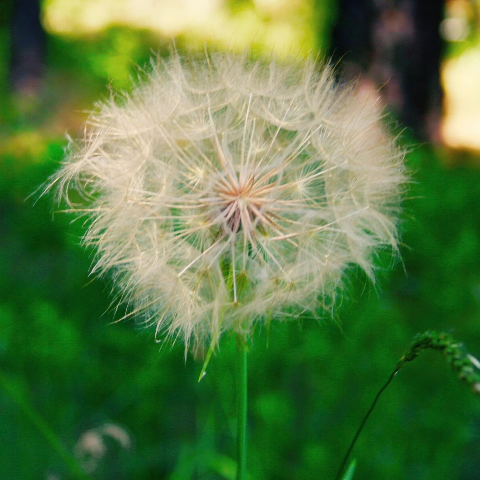 11/50: God and Suffering