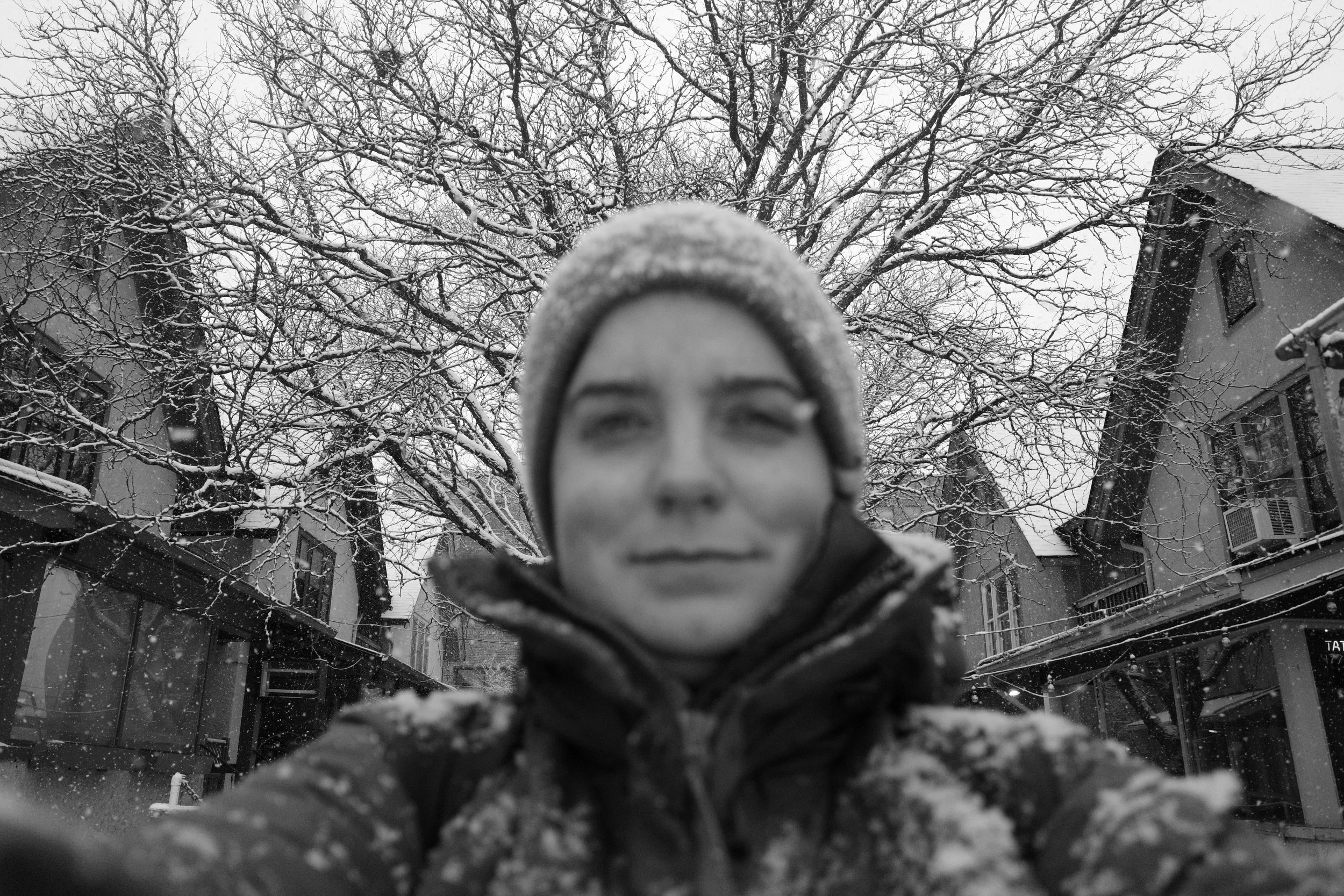 photo of bess in kerrytown in Ann Arbor during a snowstorm