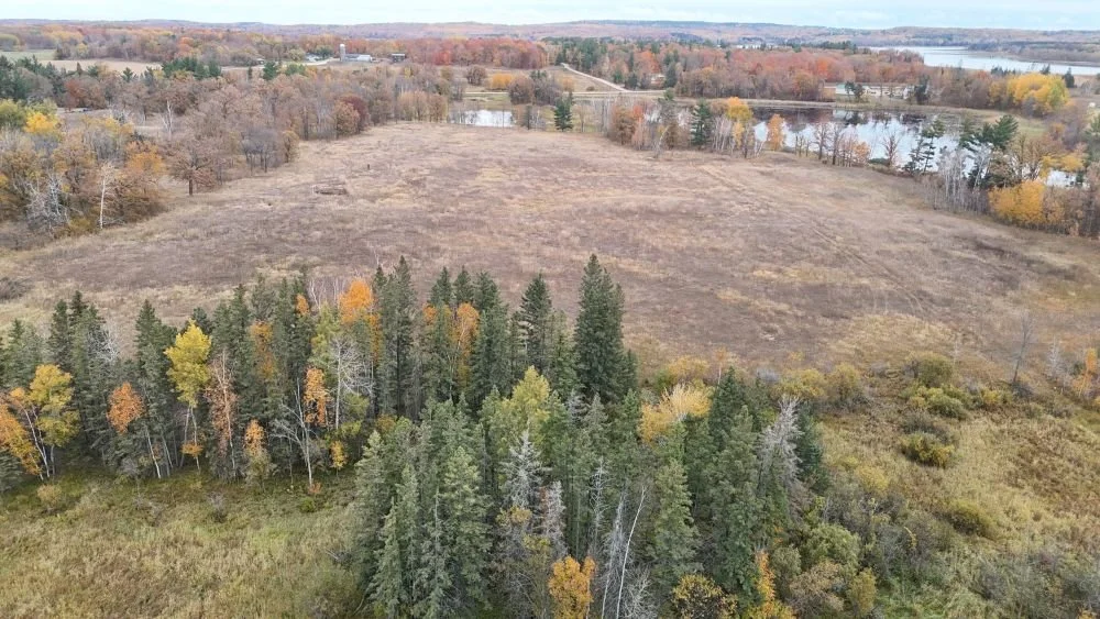 dji_fly_20241012_112010_0047_1728872146601_photo.jpg