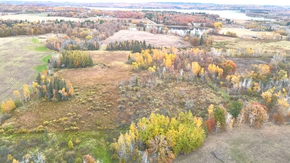 dji_fly_20241012_111816_0040_1728872151563_photo.jpg