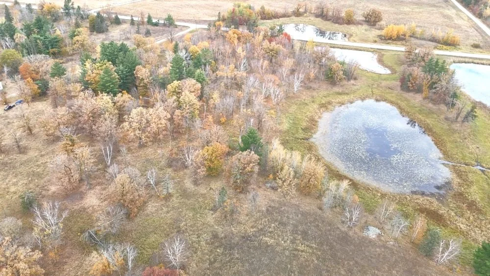 dji_fly_20241012_112154_0052_1728872136149_photo.jpg