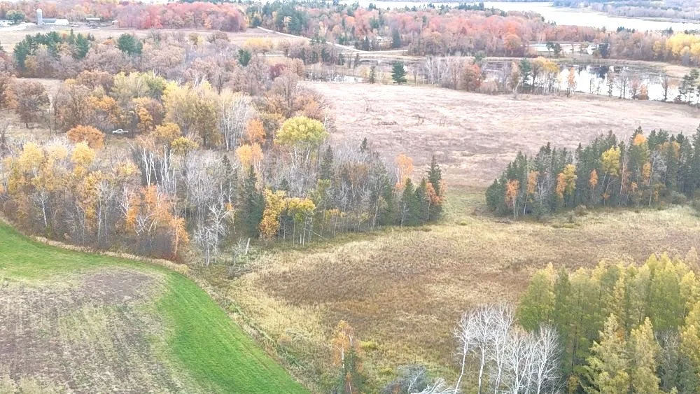 dji_fly_20241012_112850_0070_1728872111185_photo.jpg