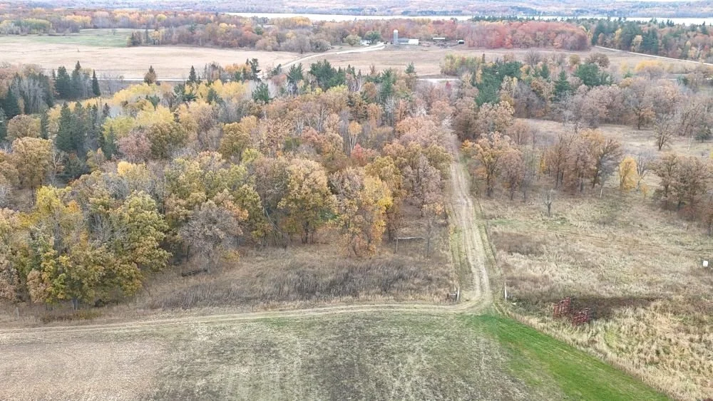 dji_fly_20241012_112936_0072_1728872106832_photo.jpg