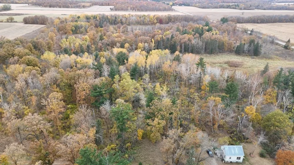 dji_fly_20241012_113404_0092_1728872079954_photo.jpg