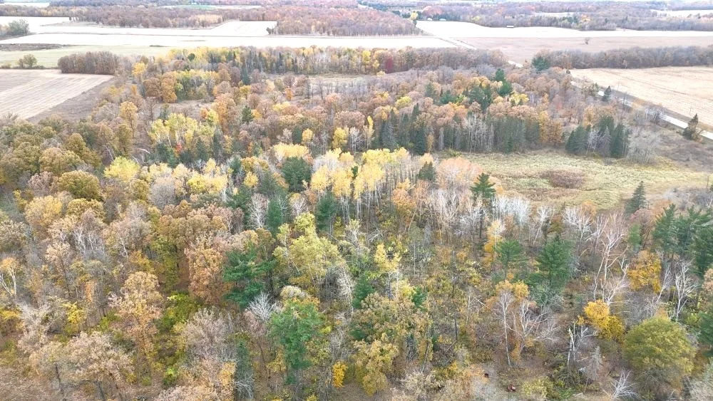 dji_fly_20241012_113410_0093_1728872078314_photo.jpg