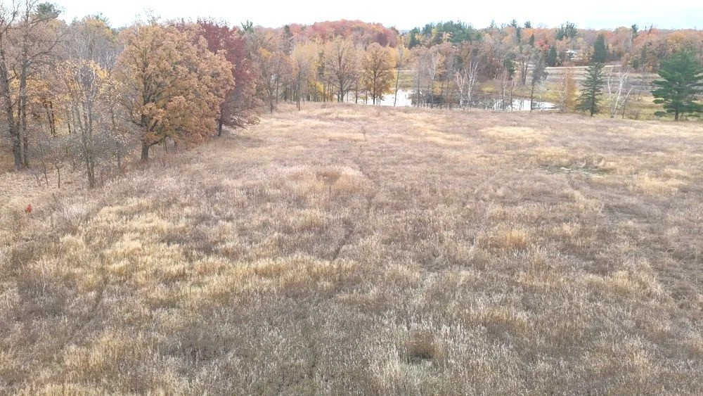 dji_fly_20241012_113530_0096_1728872072468_photo.jpg