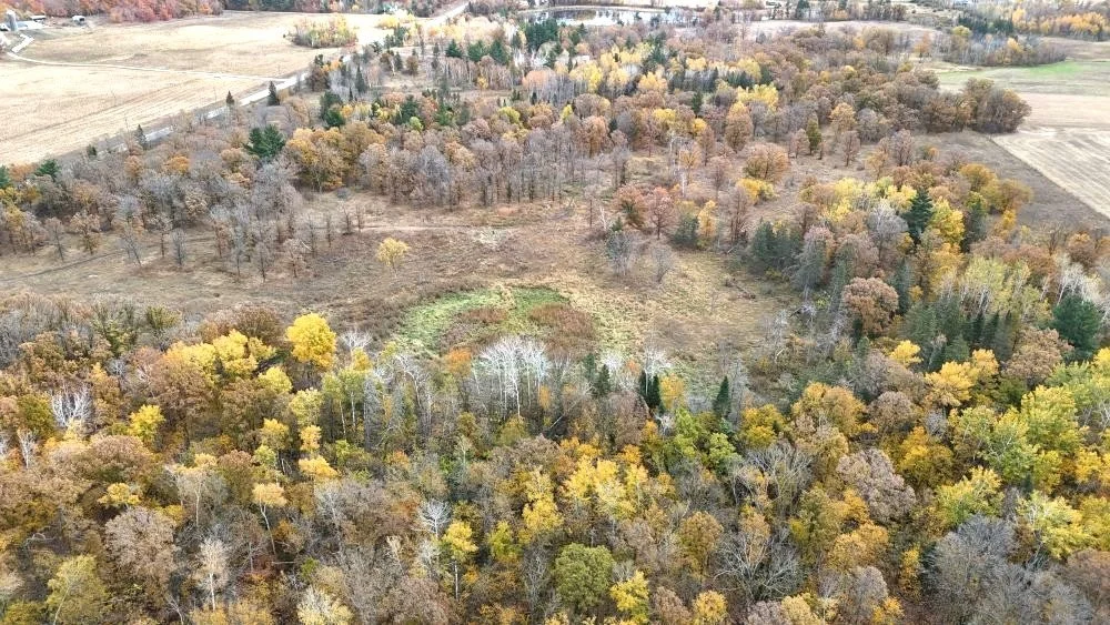 dji_fly_20241012_115124_0108_1728872058492_photo.jpg