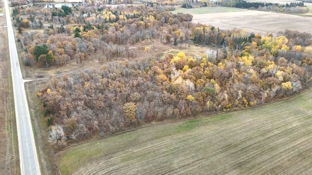 dji_fly_20241012_115200_0109_1728872057715_photo.jpg