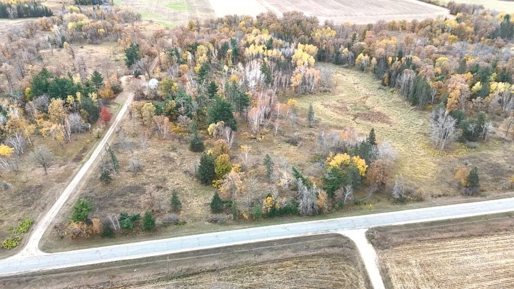 dji_fly_20241012_115446_0115_1728872045748_photo.jpg