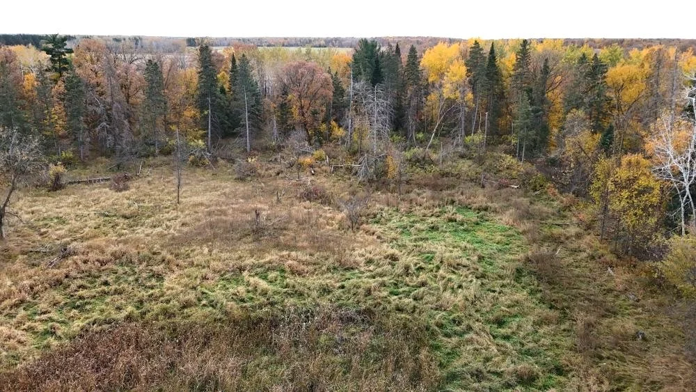 dji_fly_20241012_120050_0137_1728872018377_photo.jpg