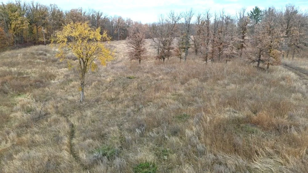 dji_fly_20241012_120122_0140_1728872012393_photo.jpg