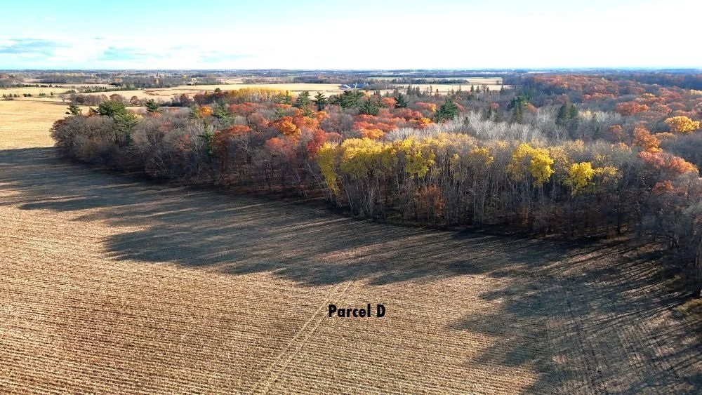 DJI_20251029160901_0166_D.JPG